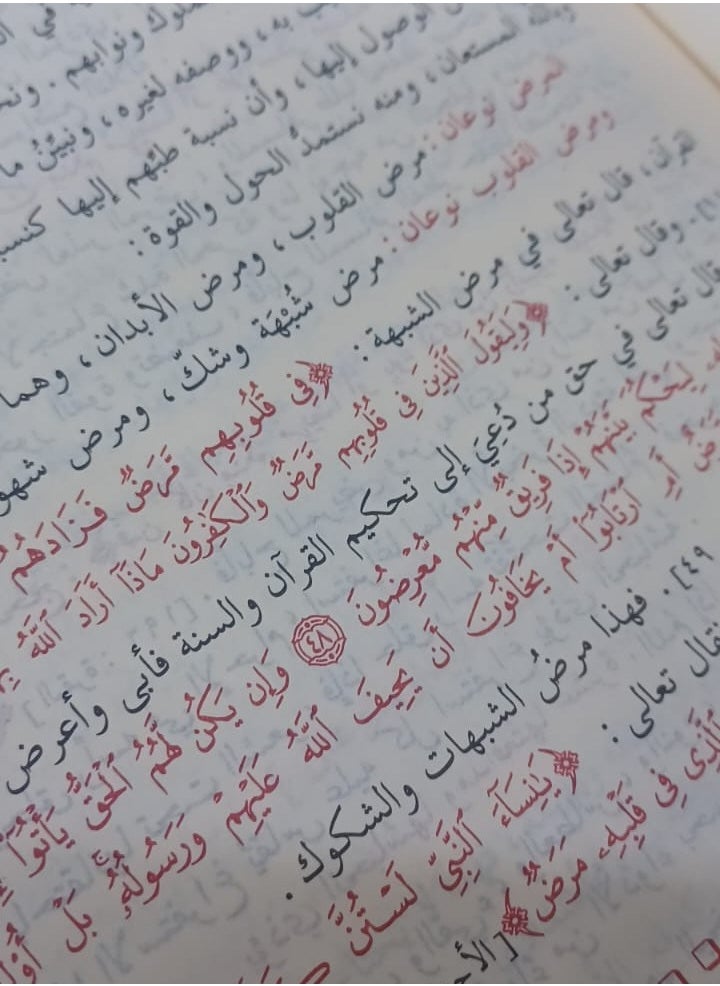 REBENUO - tab nabiin|God has not sent down any disease without sending down a cure for it Ibn Qayyim Al-Jawzi Medium size 17×24 - Image 1