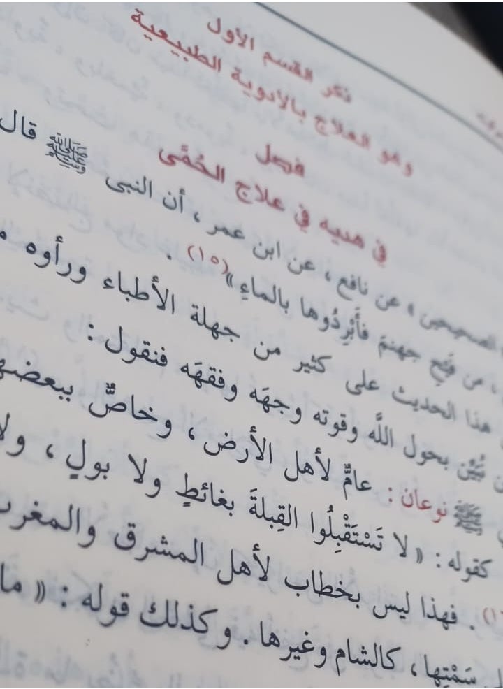 REBENUO - tab nabiin|God has not sent down any disease without sending down a cure for it Ibn Qayyim Al-Jawzi Medium size 17×24 - Image 1