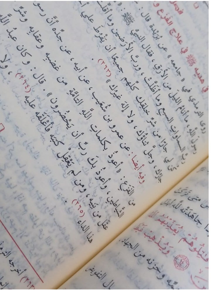 REBENUO - tab nabiin|God has not sent down any disease without sending down a cure for it Ibn Qayyim Al-Jawzi Medium size 17×24 - Image 1