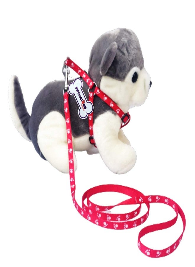 Petlicious & More 10 mm Paw Print Puppy Harness & Leash Set for Small & Medium Dogs (Color May Vary) - Pack of Harness + Leash - Image 1