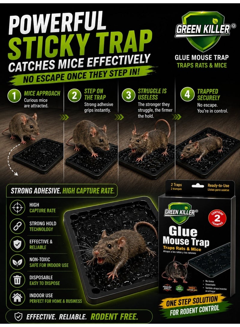 Green Killer Glue Mouse Trap Pack of 2 – Ready-to-Use Non-Toxic Sticky Rat & Mice Catcher Board – Strong Adhesive Disposable Rodent Trap for Home, Kitchen, Garage & Warehouse - Image 3