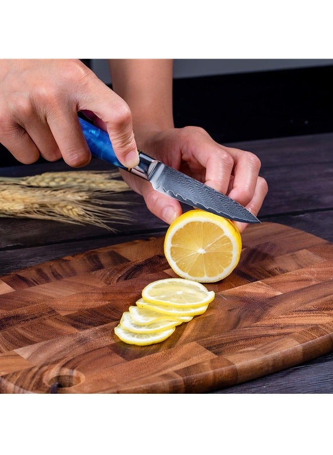 Osowake Paring Knife 3.5 Inch Damascus Paring Knife Small Fruit Knife Ultra Sharp Damascus VG10 Core Steel with 66 Layers High Carbon Steel Classical Pattern Blue Handle with Elegant Gift Box - Image 4