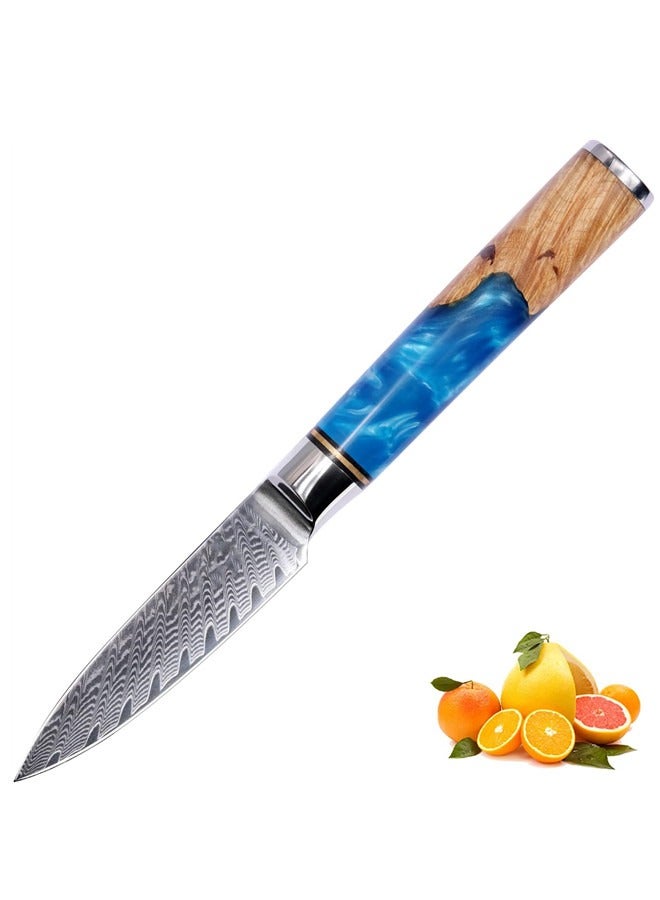 Osowake Paring Knife 3.5 Inch Damascus Paring Knife Small Fruit Knife Ultra Sharp Damascus VG10 Core Steel with 66 Layers High Carbon Steel Classical Pattern Blue Handle with Elegant Gift Box - Image 1
