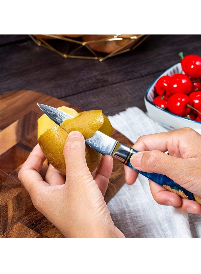 Osowake Paring Knife 3.5 Inch Damascus Paring Knife Small Fruit Knife Ultra Sharp Damascus VG10 Core Steel with 66 Layers High Carbon Steel Classical Pattern Blue Handle with Elegant Gift Box - Image 2