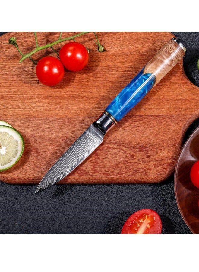 Osowake Paring Knife 3.5 Inch Damascus Paring Knife Small Fruit Knife Ultra Sharp Damascus VG10 Core Steel with 66 Layers High Carbon Steel Classical Pattern Blue Handle with Elegant Gift Box - Image 3