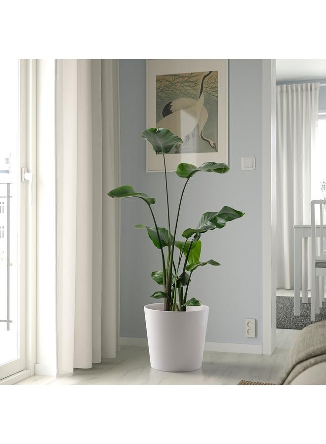 Zaboon Plant pot, white, 32 cm - Image 5