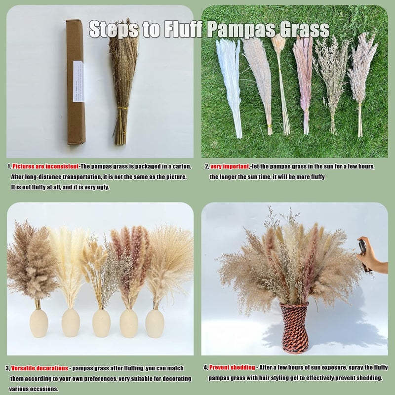 CZCTLUL 100Pcs Pampas Grass Boho Home Decor 17 inch Natural Dried Flowers-Pampas Grass Contains Bunny Tails White Pampas Brown Pampas.Boho Decor for Farmhouse Wedding Boho Wall Bathroom Office Kitchen… - Image 2