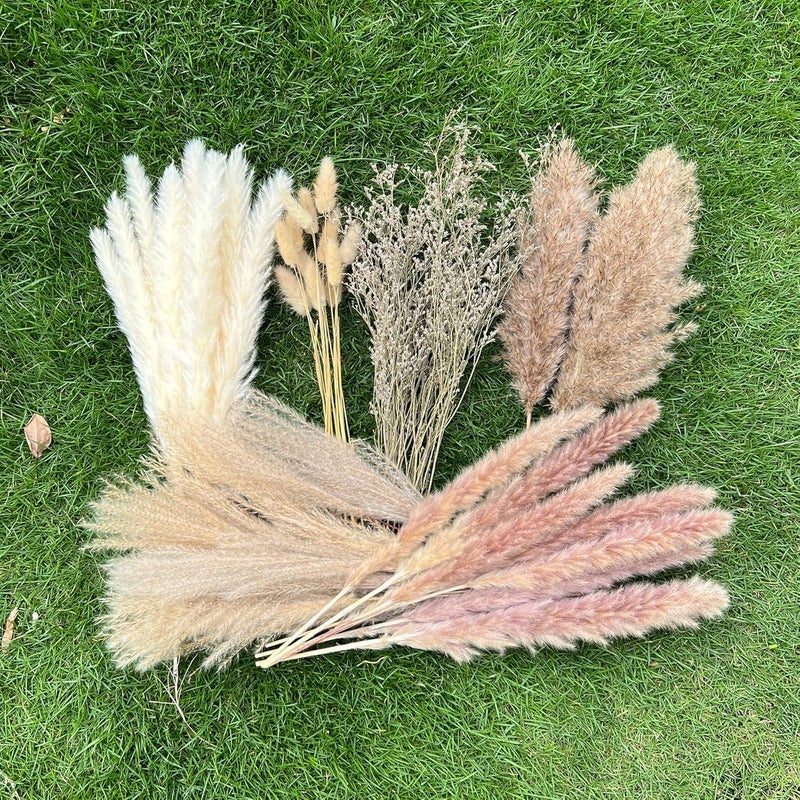 CZCTLUL 100Pcs Pampas Grass Boho Home Decor 17 inch Natural Dried Flowers-Pampas Grass Contains Bunny Tails White Pampas Brown Pampas.Boho Decor for Farmhouse Wedding Boho Wall Bathroom Office Kitchen… - Image 1