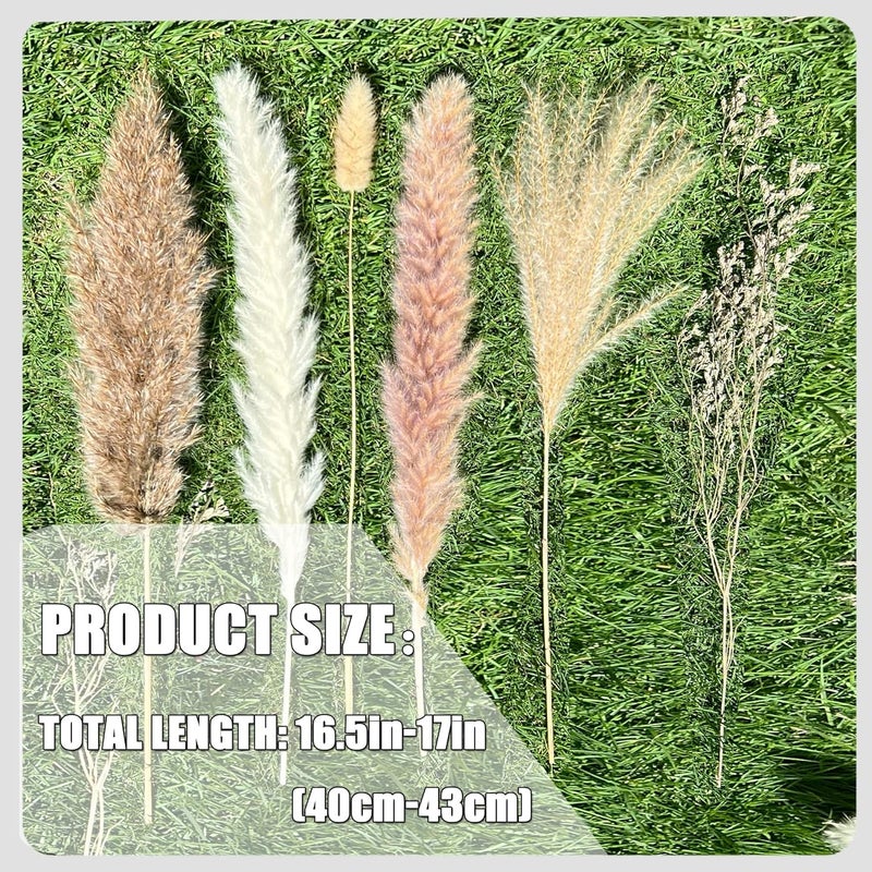 CZCTLUL 100Pcs Pampas Grass Boho Home Decor 17 inch Natural Dried Flowers-Pampas Grass Contains Bunny Tails White Pampas Brown Pampas.Boho Decor for Farmhouse Wedding Boho Wall Bathroom Office Kitchen… - Image 4