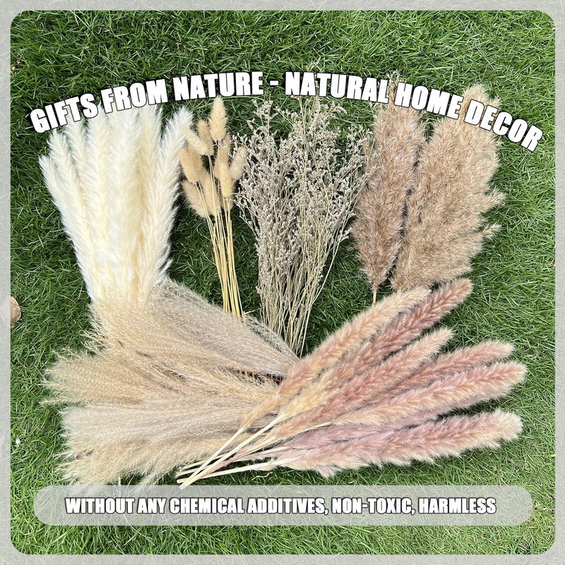 CZCTLUL 100Pcs Pampas Grass Boho Home Decor 17 inch Natural Dried Flowers-Pampas Grass Contains Bunny Tails White Pampas Brown Pampas.Boho Decor for Farmhouse Wedding Boho Wall Bathroom Office Kitchen… - Image 5