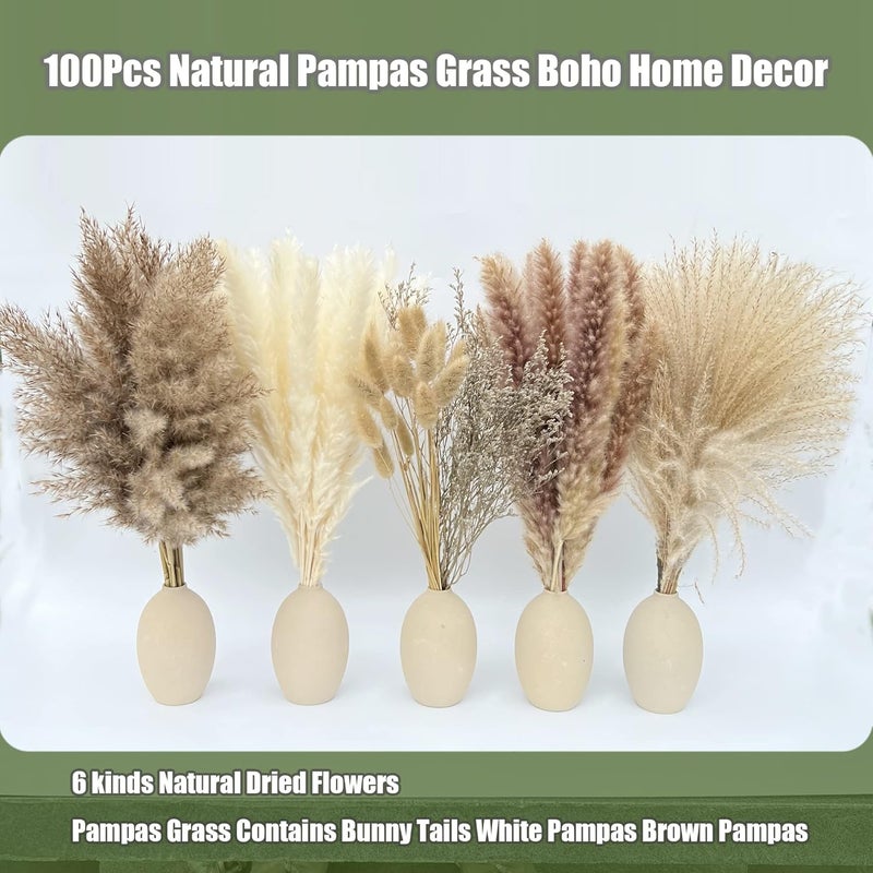 CZCTLUL 100Pcs Pampas Grass Boho Home Decor 17 inch Natural Dried Flowers-Pampas Grass Contains Bunny Tails White Pampas Brown Pampas.Boho Decor for Farmhouse Wedding Boho Wall Bathroom Office Kitchen… - Image 3