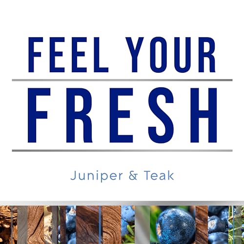 Glade PlugIns Refills Air Freshener, Scented and Essential Oils for Home and Bathroom, Juniper & Teak, Fresh Collection 3.35 Fl Oz, 5 Count - Image 2