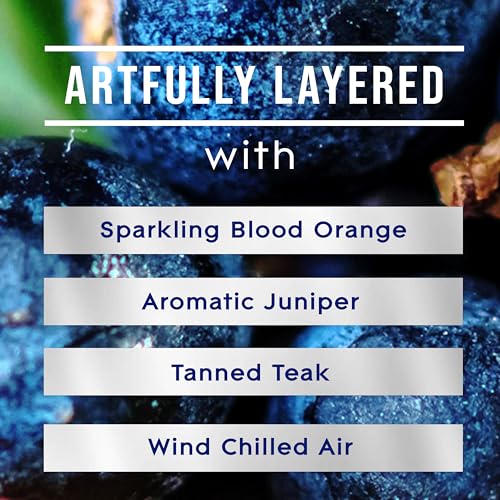 Glade PlugIns Refills Air Freshener, Scented and Essential Oils for Home and Bathroom, Juniper & Teak, Fresh Collection 3.35 Fl Oz, 5 Count - Image 3