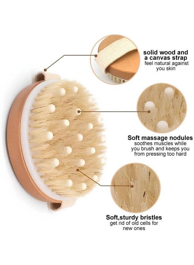 Stodern Dry Body Brush for Exfoliation and Massage - Wooden Bath Brush with Massaging Nodes, Natural Boar Bristles for Cellulite, Smooth Skin, Circulation Boost - Use for Wet & Dry Brushing - Image 5