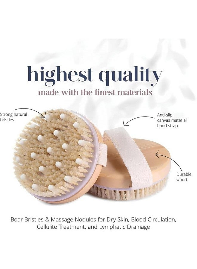 Stodern Dry Body Brush for Exfoliation and Massage - Wooden Bath Brush with Massaging Nodes, Natural Boar Bristles for Cellulite, Smooth Skin, Circulation Boost - Use for Wet & Dry Brushing - Image 4