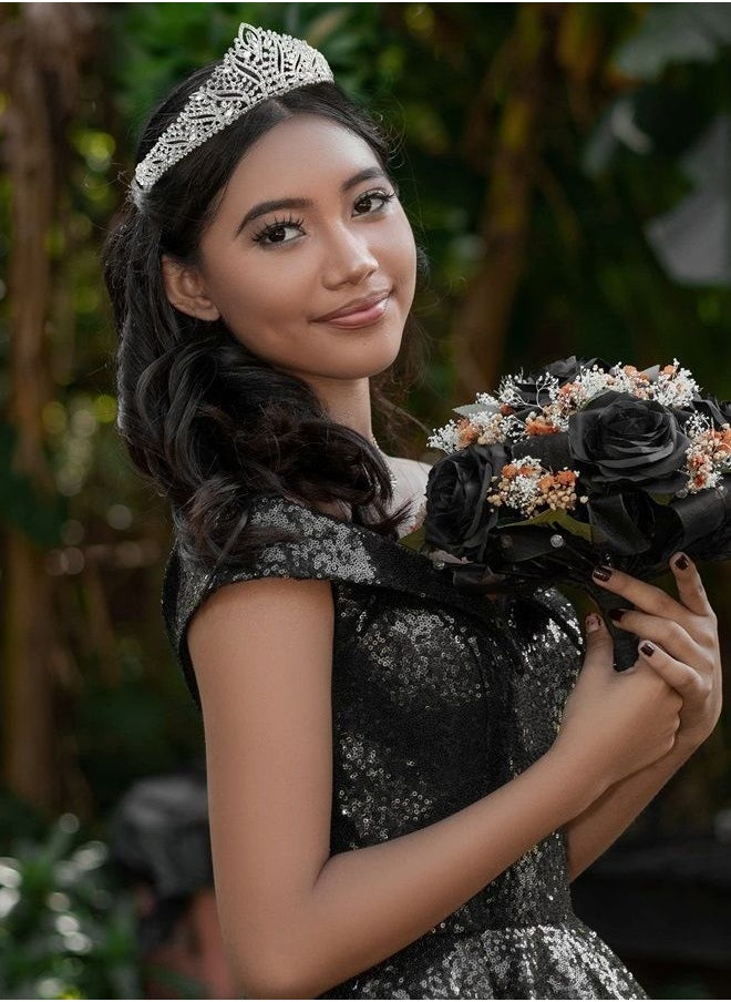 Anastasia Tiaras and Crowns for Women, Wedding Tiara for Bride, Rhinestone Queen Crown, Silver Crystal Princess Headpieces for Prom Costume Party