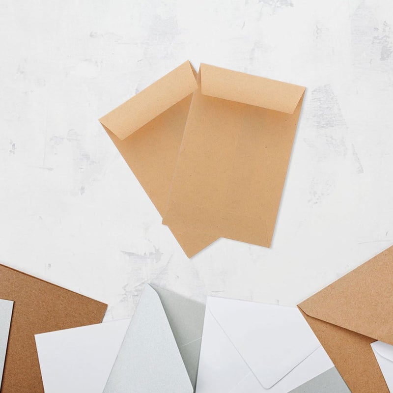 iplusmile 50pcs Small Seeds Envelopes Kraft Paper 9x6cm Self Seal Storage Bags for Seed Packing and Small Item Organization - Image 4