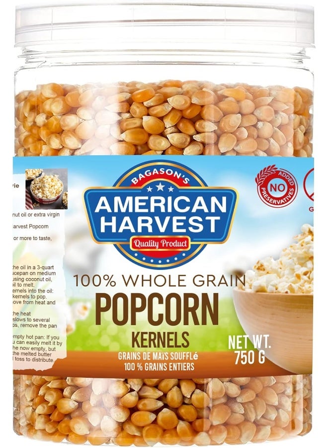 American Harvest American Harvest Yellow Popcorn Kernels In Jar - Image 1