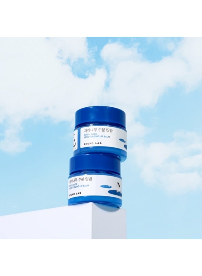 ROUND LAB Birch Juice Moisturizing Lip Balm - 20g - Image 4