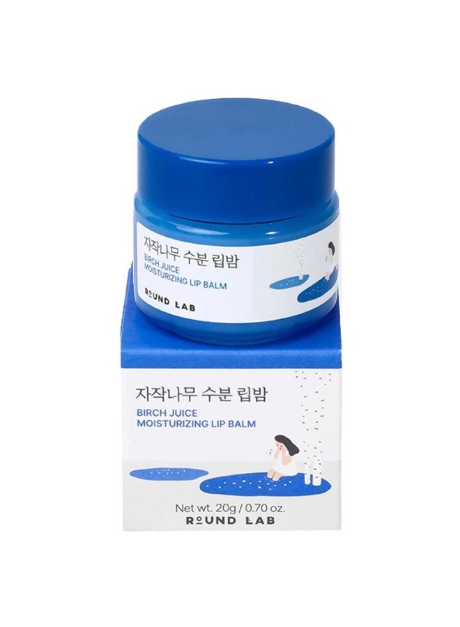 ROUND LAB Birch Juice Moisturizing Lip Balm - 20g - Image 1