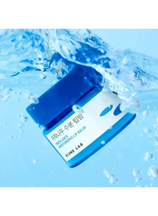 ROUND LAB Birch Juice Moisturizing Lip Balm - 20g - Image 5