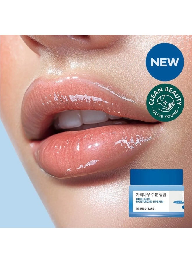 ROUND LAB Birch Juice Moisturizing Lip Balm - 20g - Image 2
