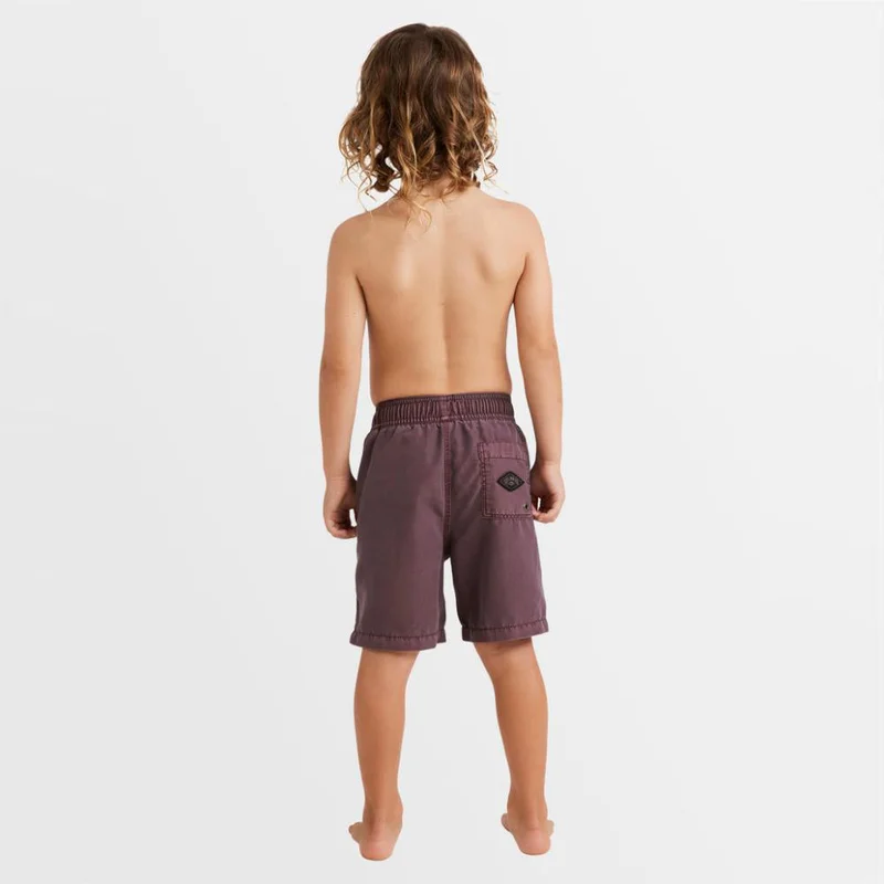 Billabong All Day Overdye Layback 13" Boardshorts - Kids