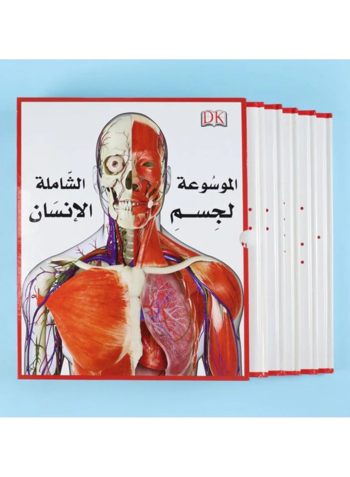 Educational Innovations DK's Comprehensive Encyclopedia of the Human Body (5 Volumes) - Image 1