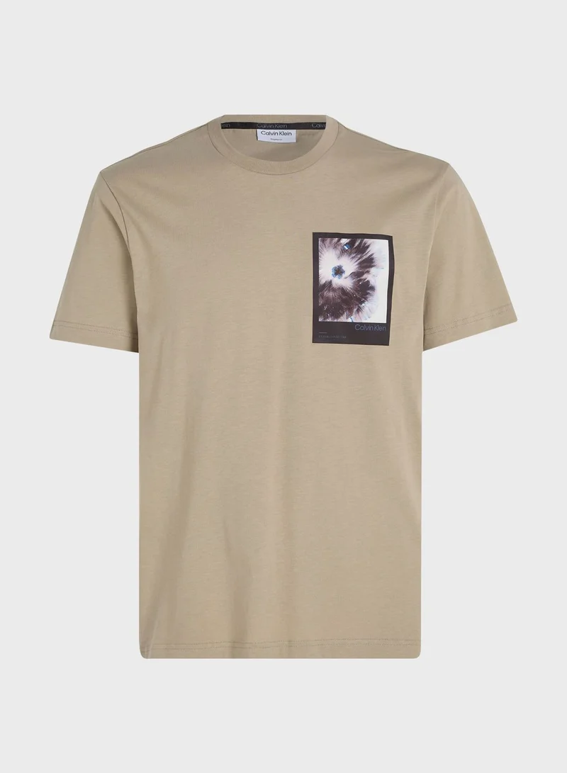 CALVIN KLEIN Graphic Crew Neck T-Shirt