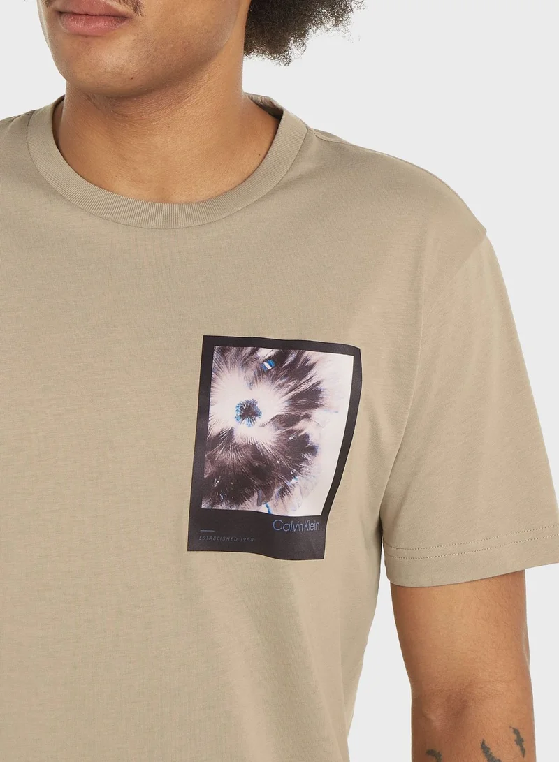 CALVIN KLEIN Graphic Crew Neck T-Shirt