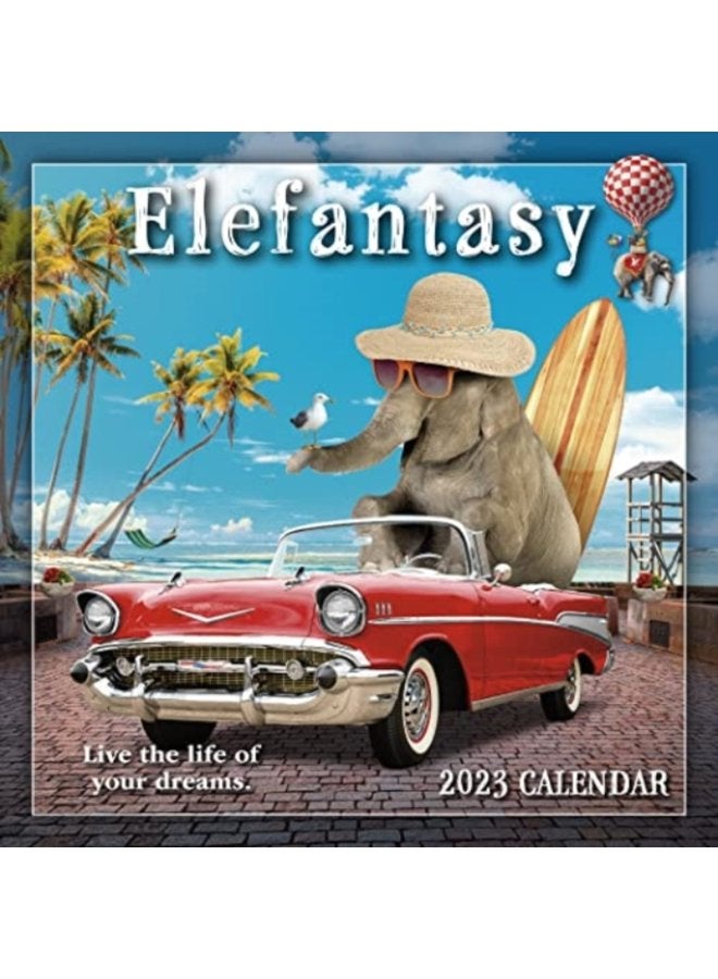 ELEFANTASY - Paperback