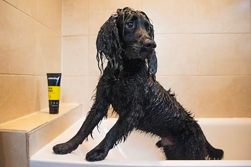 Animology Dog Fox Poo Shampoo 250ml - Image 5