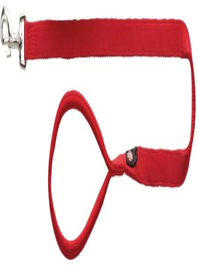 Trixie Premium Extra Strong Dog Leash with Padded Hand Loop, XS-S Dogs, 10 kg or Less (Chihuahua, Toy Poodle, Shih Tzu, Pug), 3.93ft /15mm (X-S, Red) - Image 1