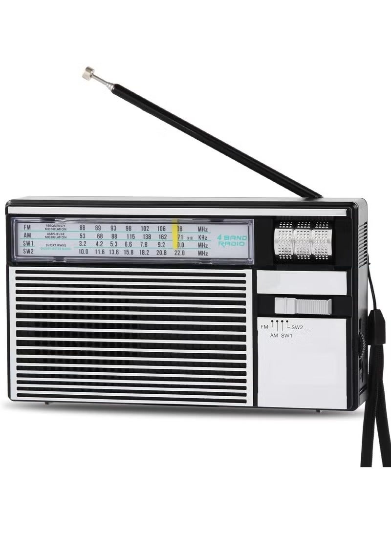 Denx Bluetooth speaker and radio with FM/AM/USB/TF/AUX support - Image 1