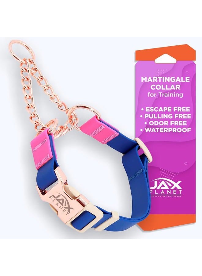 JAX PLANET Jelly Waterproof Martingale Dog Collar, No Pull Nylon Collar with Alloy Metal Buckle & D-Ring for Outdoor Training and Walking, Anti Pull, Escape Free, One Time Adjustment - Image 1