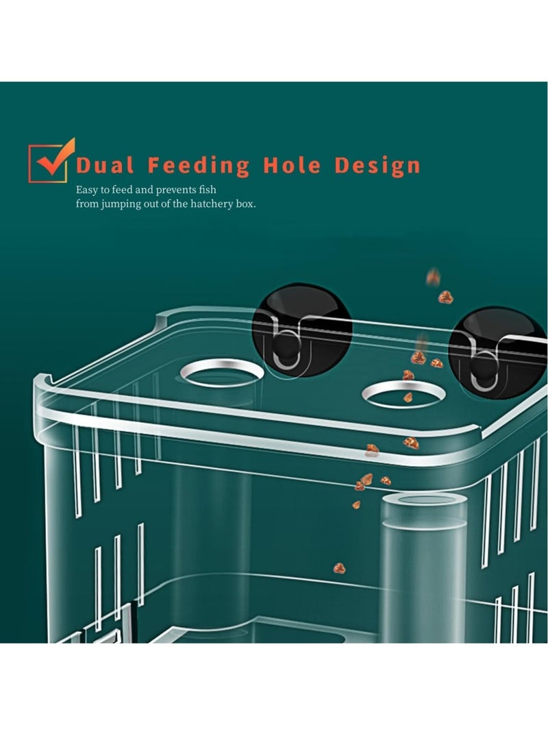 Excefore Large Fish Breeder Box for Aquarium, Fish Tank Acrylic Breeding Box, Isolation Divider Hatching Box for Small Clownfish Shrimp Guppy, Can Connected to Air Pump - Image 4