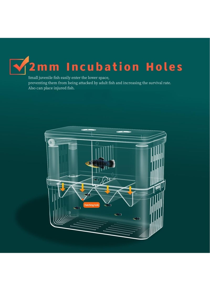 Excefore Large Fish Breeder Box for Aquarium, Fish Tank Acrylic Breeding Box, Isolation Divider Hatching Box for Small Clownfish Shrimp Guppy, Can Connected to Air Pump - Image 3