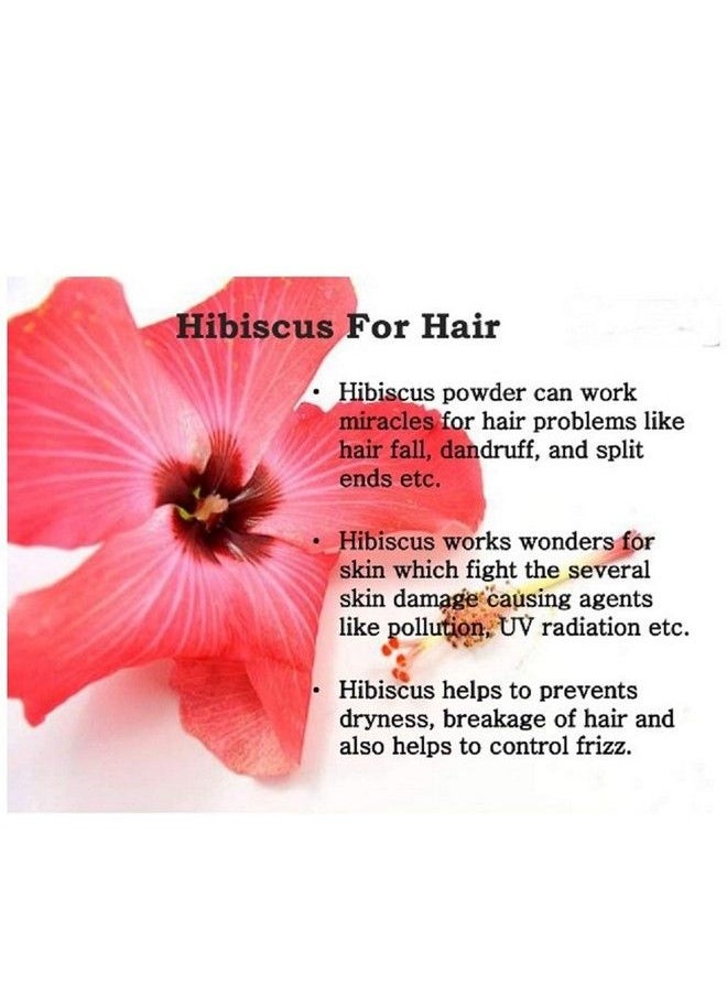 Natural Hibiscus Powder For Face And Hair Care (100 G) - pzsku/ZA31E0B9B84018F1F2D1EZ/45/_/1690020649/e3444331-f61c-469f-884d-f79b63ae1f21