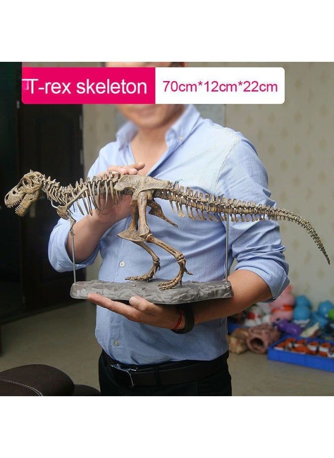 null - Large Dinosaur Skeleton Ornaments Skeleton Model Jurassic Assembled Skeletal Fossil Tyrannosaurus Rex-Color:70cm Tyrannosaurus Rex (paint And Glue Included) - Image 1