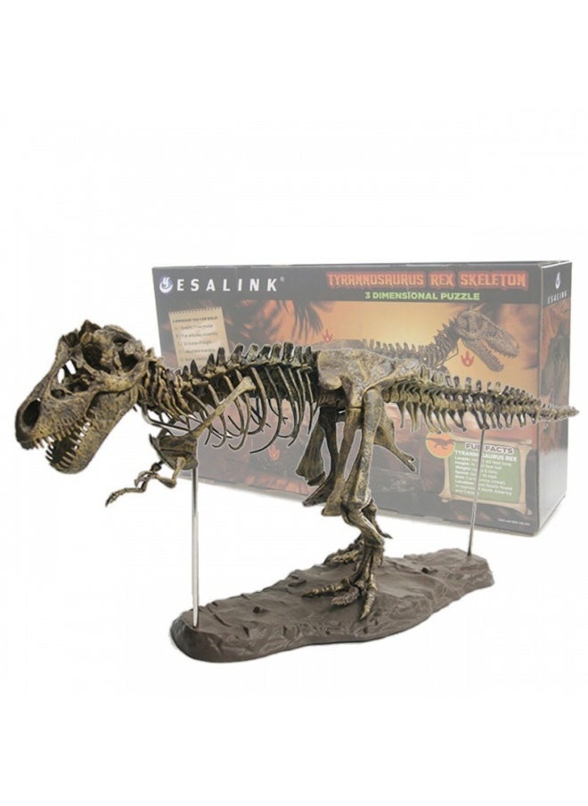 null - Large Dinosaur Skeleton Ornaments Skeleton Model Jurassic Assembled Skeletal Fossil Tyrannosaurus Rex-Color:70cm Tyrannosaurus Rex (paint And Glue Included) - Image 1