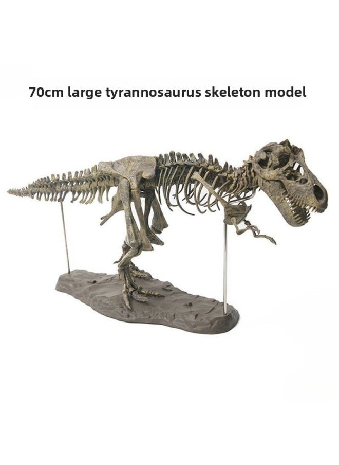 null - Large Dinosaur Skeleton Ornaments Skeleton Model Jurassic Assembled Skeletal Fossil Tyrannosaurus Rex-Color:70cm Tyrannosaurus Rex (paint And Glue Included) - Image 1