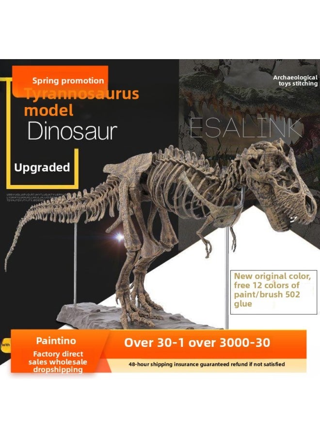 null - Large Dinosaur Skeleton Ornaments Skeleton Model Jurassic Assembled Skeletal Fossil Tyrannosaurus Rex-Color:70cm Tyrannosaurus Rex (paint And Glue Included) - Image 1