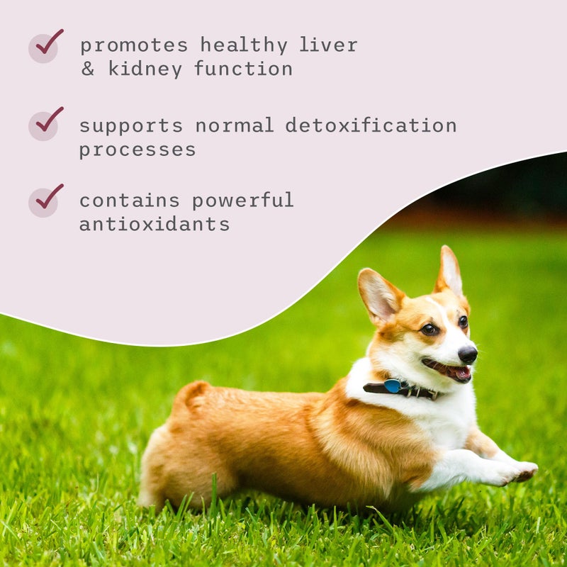 Dr. Mercola Bark & Whiskers Detox Support - Helps Support Healthy Liver & Kidney Function - Herbal Blend with Organic Milk Thistle & Green Tea - 1.8 oz - Image 5