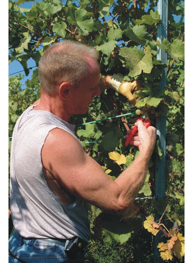 Felco Pruning Shears (F 310) - High Performance One-Hand Garden Pruners - F-310 - Image 3