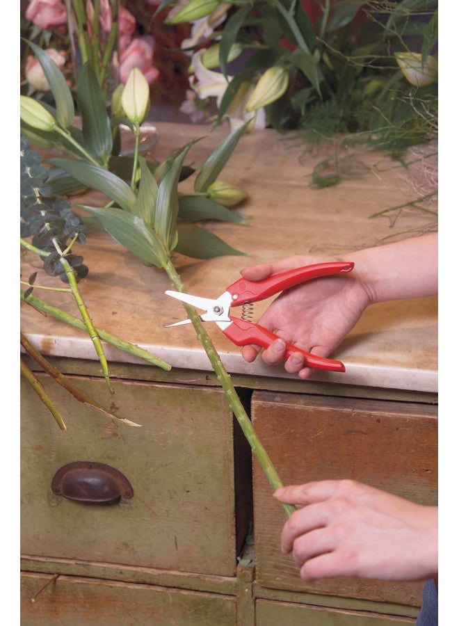 Felco Pruning Shears (F 310) - High Performance One-Hand Garden Pruners - F-310 - Image 5