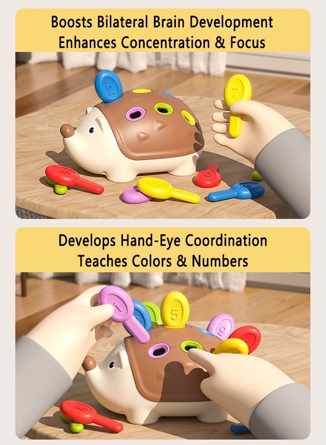 Montessori Fine Motor Skills Toy for Toddlers, Hedgehog Sensory Learning Toy for Color Recognition & Sorting, Preschool Educational Birthday Gift for Kids - Image 3