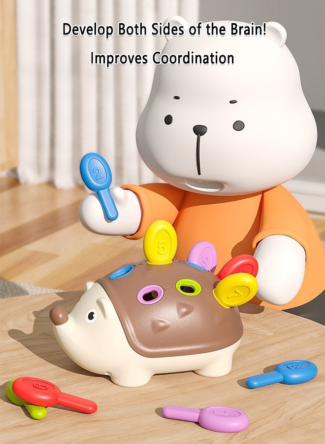 Montessori Fine Motor Skills Toy for Toddlers, Hedgehog Sensory Learning Toy for Color Recognition & Sorting, Preschool Educational Birthday Gift for Kids - Image 4