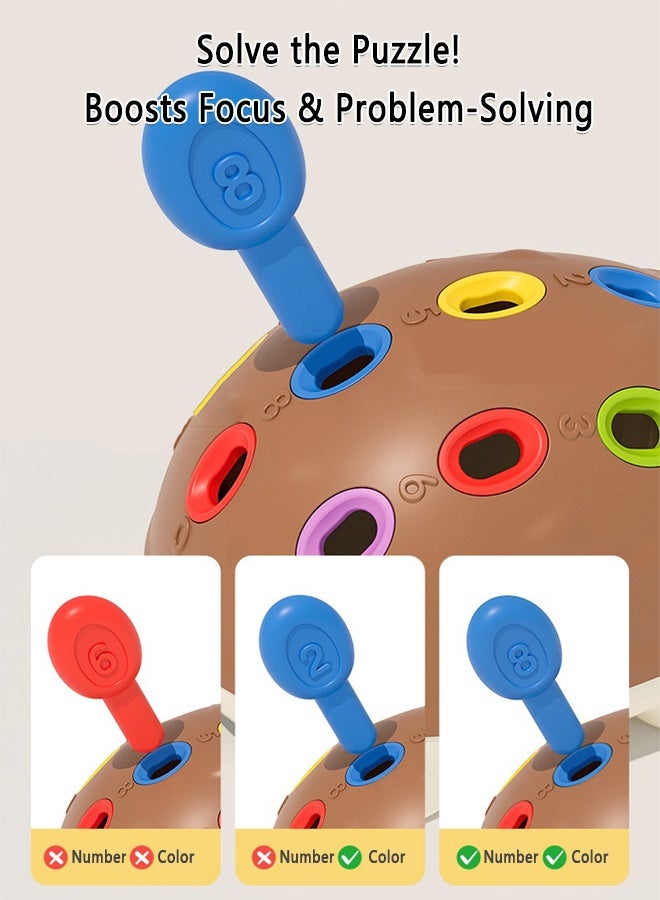 Montessori Fine Motor Skills Toy for Toddlers, Hedgehog Sensory Learning Toy for Color Recognition & Sorting, Preschool Educational Birthday Gift for Kids - Image 5