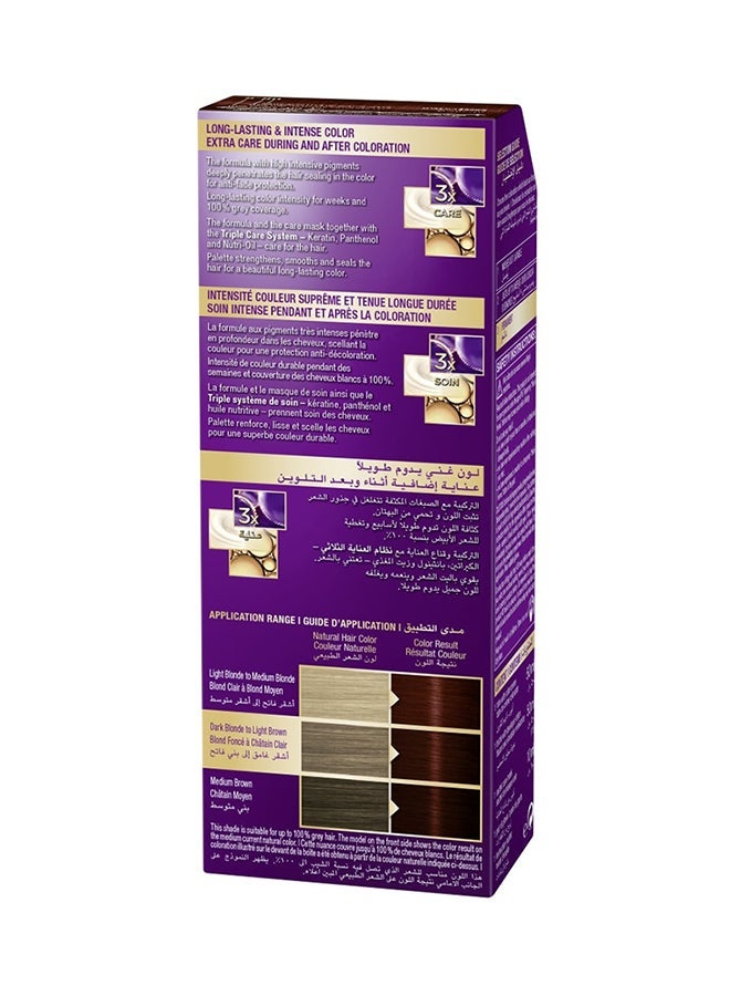 Palette Intensive Color CrÃ¨me 6-80 Marsala Brown 110ml - Image 2