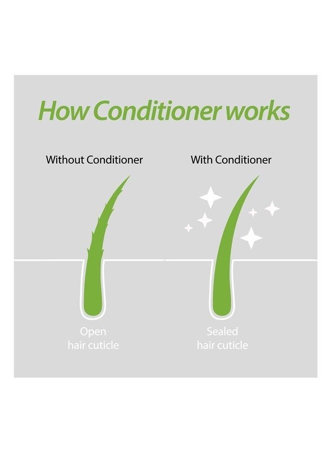 Plantur - 39 Phyto Caffeine Women's Nourishing Conditioner 5.07 Fl Oz, for Fine, Thinning Natural Hair Growth, Sulfate Free, Wheat Protein, White Tea Extract - Image 1